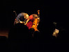 Tony Finnerty > 20091203 Alasdair Fraser and Natalie Haas at the Center for the Arts >  091203_2942